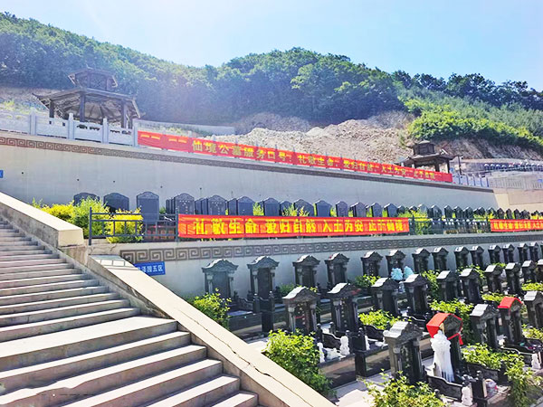 仙境环境