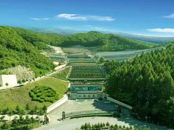 仙境环境
